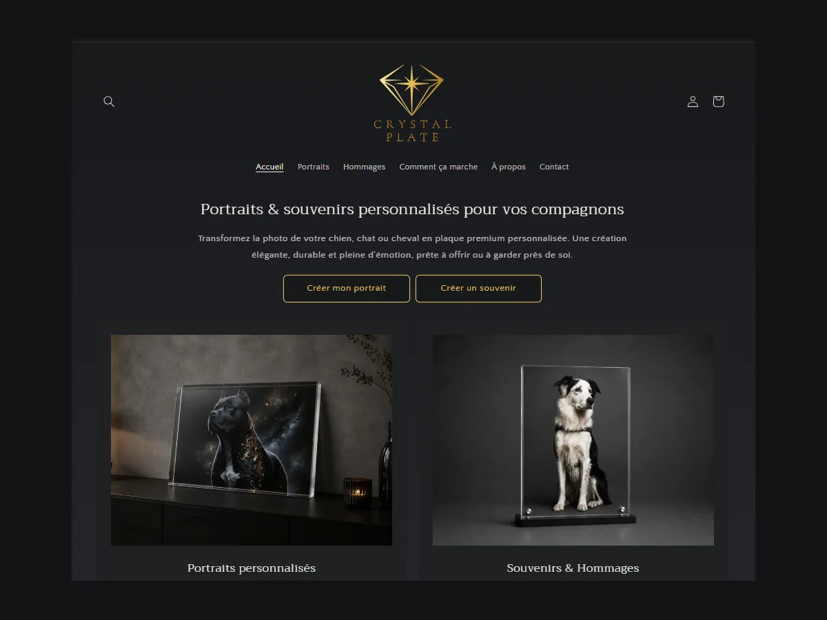 Page d'accueil de la boutique en ligne Crystal Plate